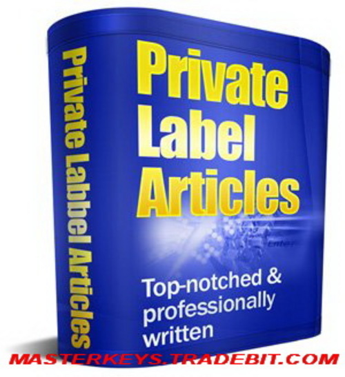 Product picture  2000 PLR Articles Internet Marketing 2015